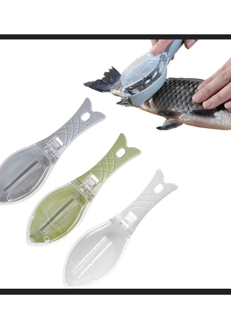 HL Plastic Fish Scaler - Image 1