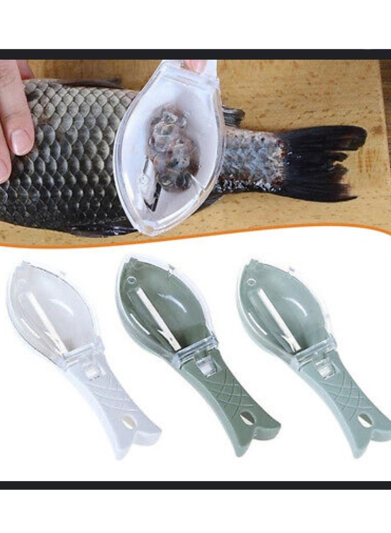 HL Plastic Fish Scaler - Image 2