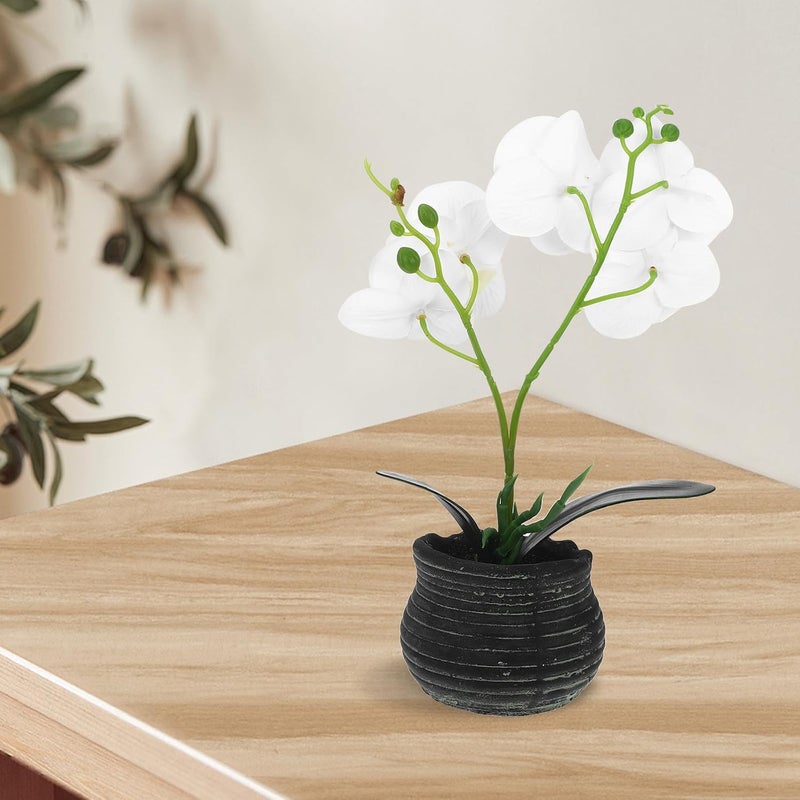 Ready varied options Toyvian Artificial Orchid Bonsai Fake Potted Plant White Faux Phalaenopsis Orchid Decor for Home Office Tabletop Decoration Globally popular elegant design Carefully selected solid material Sand resistant Classic trendy design picks Repeated use friendly design Hanging space save General need oriented design Field test upgraded craftsmanship Demand-based stock planning Budget friendly sizing alternatives Individual & group usable Regulated warehouse storage KSA local stock Multi-price design picks Space saving design picks Stable inert material Daily repeated use trusted quality Riyadh Jeddah Dammam ship Backup reserve local stock Good ventilation Globally engineered build Safe material Seasonal & permanent compatible Elegant upgraded practical design - Image 5