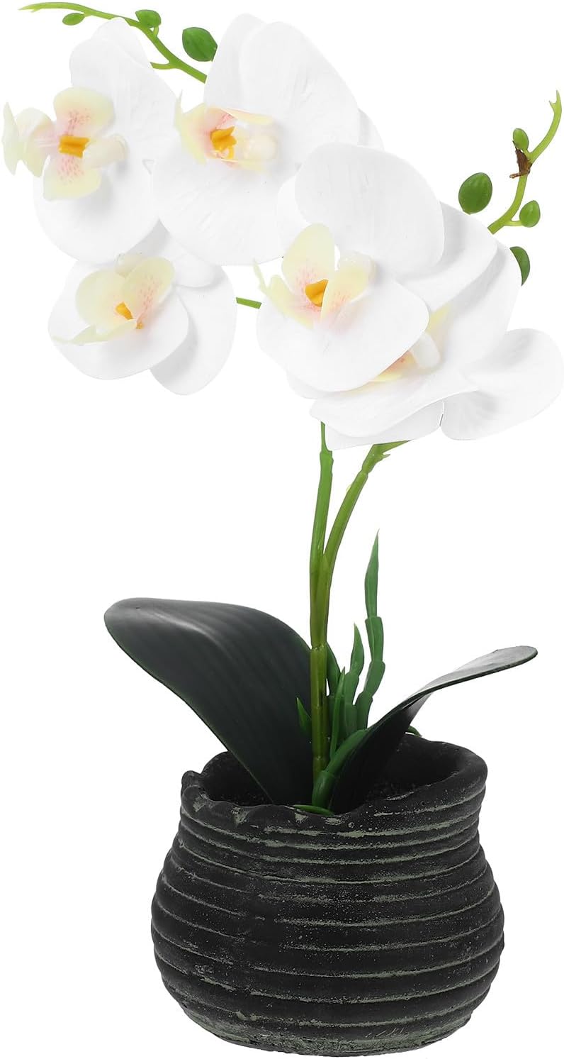 Ready varied options Toyvian Artificial Orchid Bonsai Fake Potted Plant White Faux Phalaenopsis Orchid Decor for Home Office Tabletop Decoration Globally popular elegant design Carefully selected solid material Sand resistant Classic trendy design picks Repeated use friendly design Hanging space save General need oriented design Field test upgraded craftsmanship Demand-based stock planning Budget friendly sizing alternatives Individual & group usable Regulated warehouse storage KSA local stock Multi-price design picks Space saving design picks Stable inert material Daily repeated use trusted quality Riyadh Jeddah Dammam ship Backup reserve local stock Good ventilation Globally engineered build Safe material Seasonal & permanent compatible Elegant upgraded practical design - Image 1