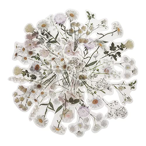 ZMLSED Vintage Natural Stickers, 45Pcs Daisy Vinyl Decorative Retro Adhesive Watercolor Aesthetic Trendy for Scrapbook Album DIY Craft Daily Planner - Image 1