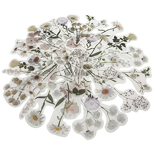 ZMLSED Vintage Natural Stickers, 45Pcs Daisy Vinyl Decorative Retro Adhesive Watercolor Aesthetic Trendy for Scrapbook Album DIY Craft Daily Planner - Image 5