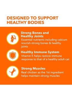 Iams Proactive Health Healthy Senior Dry Cat Food With Chicken, 3.5 Lb. Bag  - Image 4