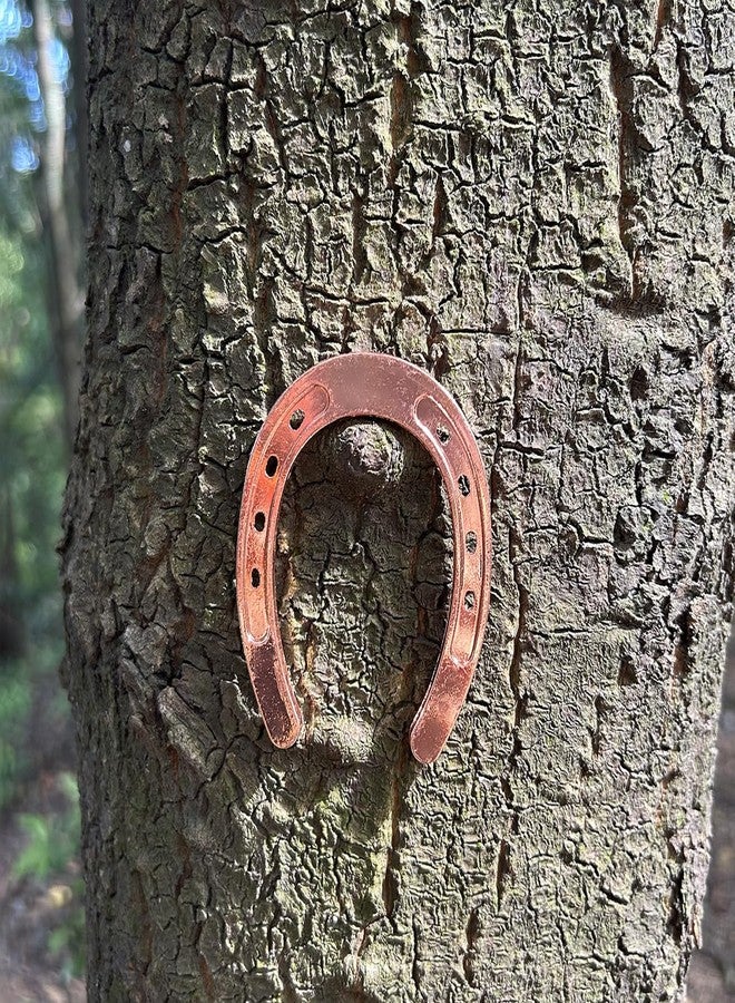 HDFSP 10 pcs Good Luck Horseshoes for Crafts, Mini Horseshoes Decor Wall Hanging for Vintage Rustic Wedding Party Decoration - Image 4