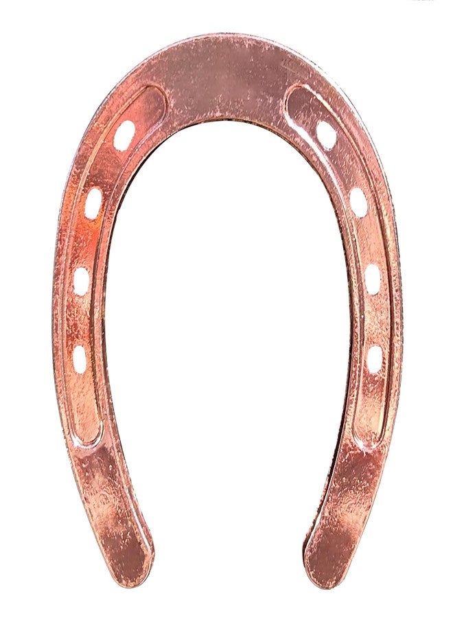 HDFSP 10 pcs Good Luck Horseshoes for Crafts, Mini Horseshoes Decor Wall Hanging for Vintage Rustic Wedding Party Decoration - Image 1