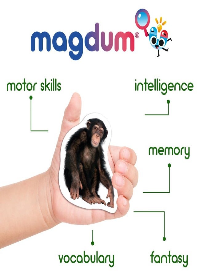 magdum 110 Fridge Magnet for Toddlers in Gift Tin Box Kids Magnets for Fridge - Realistic Magnetic Animals for Refrigerator - Safe Educational Materials for Baby: Zoo, Farm, Fruits, Vegetables, Transport - Image 4