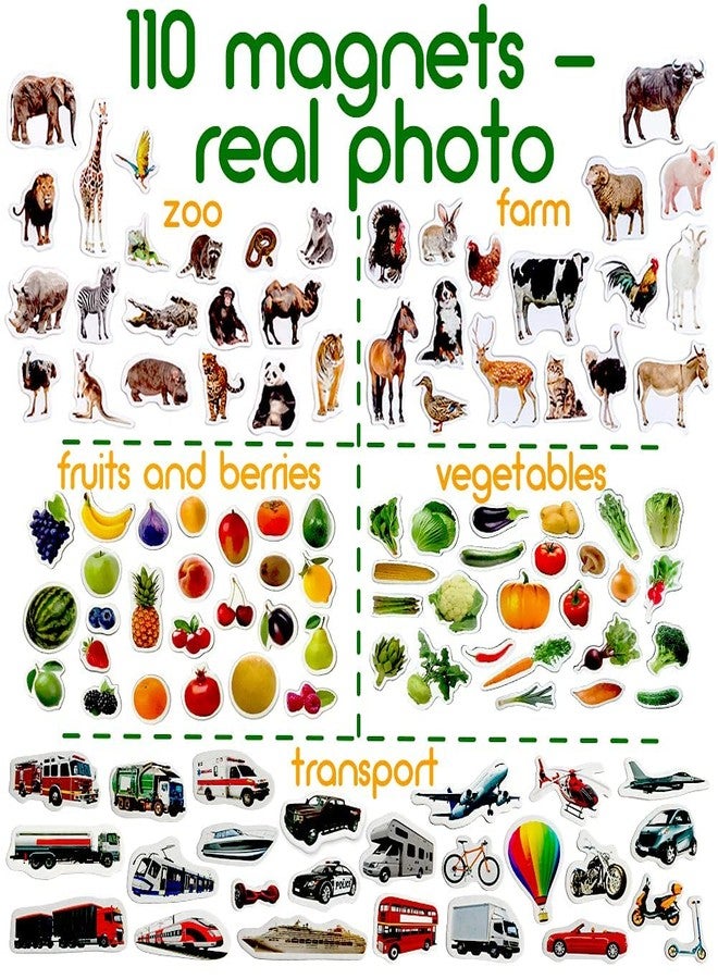 magdum 110 Fridge Magnet for Toddlers in Gift Tin Box Kids Magnets for Fridge - Realistic Magnetic Animals for Refrigerator - Safe Educational Materials for Baby: Zoo, Farm, Fruits, Vegetables, Transport - Image 3