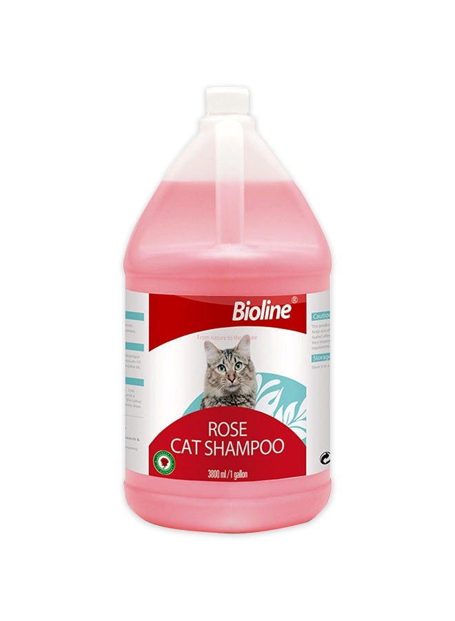 بايولاين شامبو روز كات - 3.8 لتر