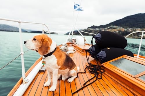 Polyform غطاء فندر قارب بوليفورم إيلت EFC-04 - أسود - Image 2