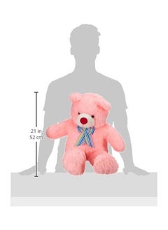 NIBEMINENT Plush Teddy Bear  - Image 2