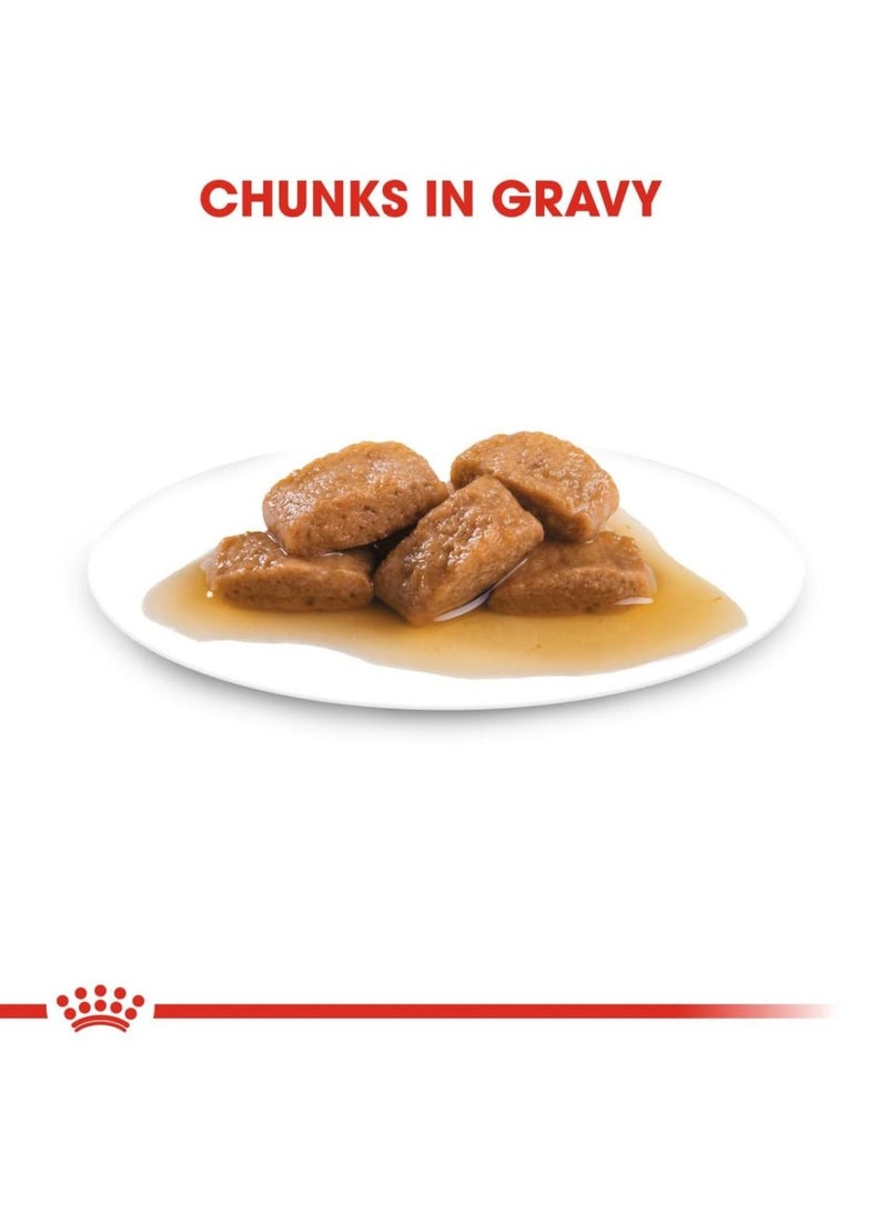 ROYAL CANIN Maxi Adult Chunks in Gravy Dog Wet Food 10x140g - Image 4