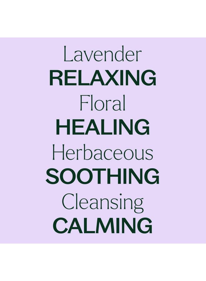 بلانت ثيرابي زيت اللافندر العطري نقي 100%، غير مخفف، علاج عطري طبيعي، درجة علاجية 100 مل (3.3 أونصة) - Image 3