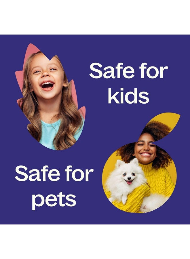 بلانت ثيرابي زيت اللافندر العطري نقي 100%، غير مخفف، علاج عطري طبيعي، درجة علاجية 100 مل (3.3 أونصة) - Image 5