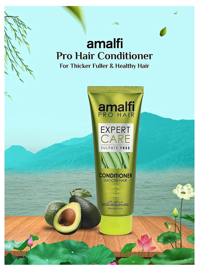 امالفي بلسم للشعر الناعم خالي من الكبريتات 250 مل - Image 2