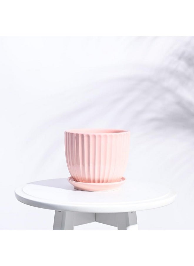 Ugaoo - UGAOO Grail Ceramic Pot for Indoor Plants - Peach (5 Inch) - Image 1