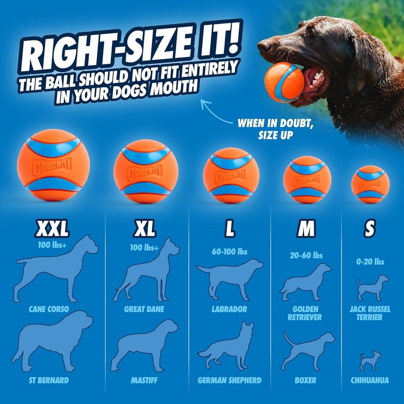 ChuckIt! Ultra Ball - Durable High Bounce Floating Rubber Dog Toy, Launcher Compatible, Large, Orange & Blue - Image 4