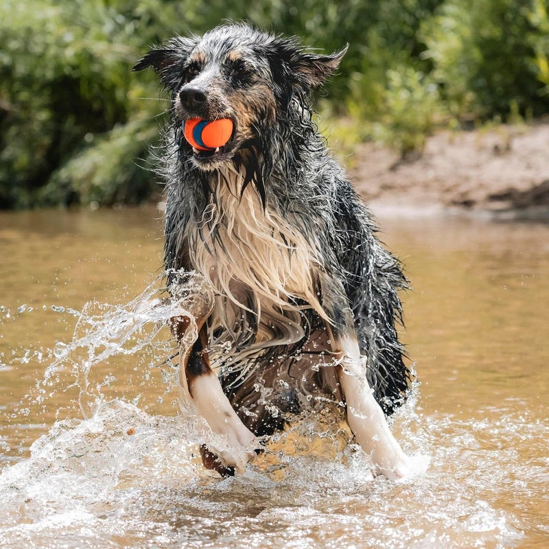 ChuckIt! Ultra Ball - Durable High Bounce Floating Rubber Dog Toy, Launcher Compatible, Large, Orange & Blue - Image 3