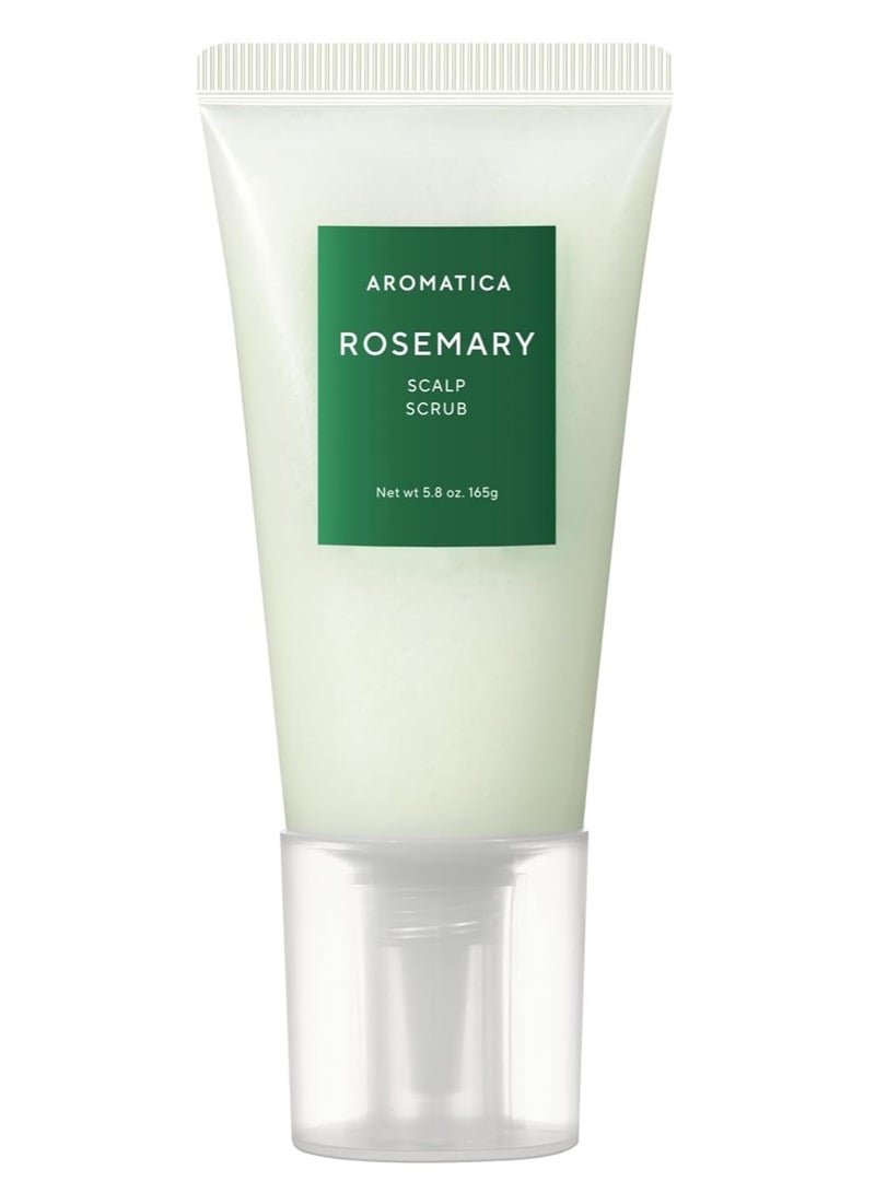 AROMATICA Rosemary Scalp Scrub 5.82oz / 165g, Scalp Treatment, Scalp Exfoliator with Salt Scrub for Oily Scalp, Dandruff, Build Up Remover - Image 1