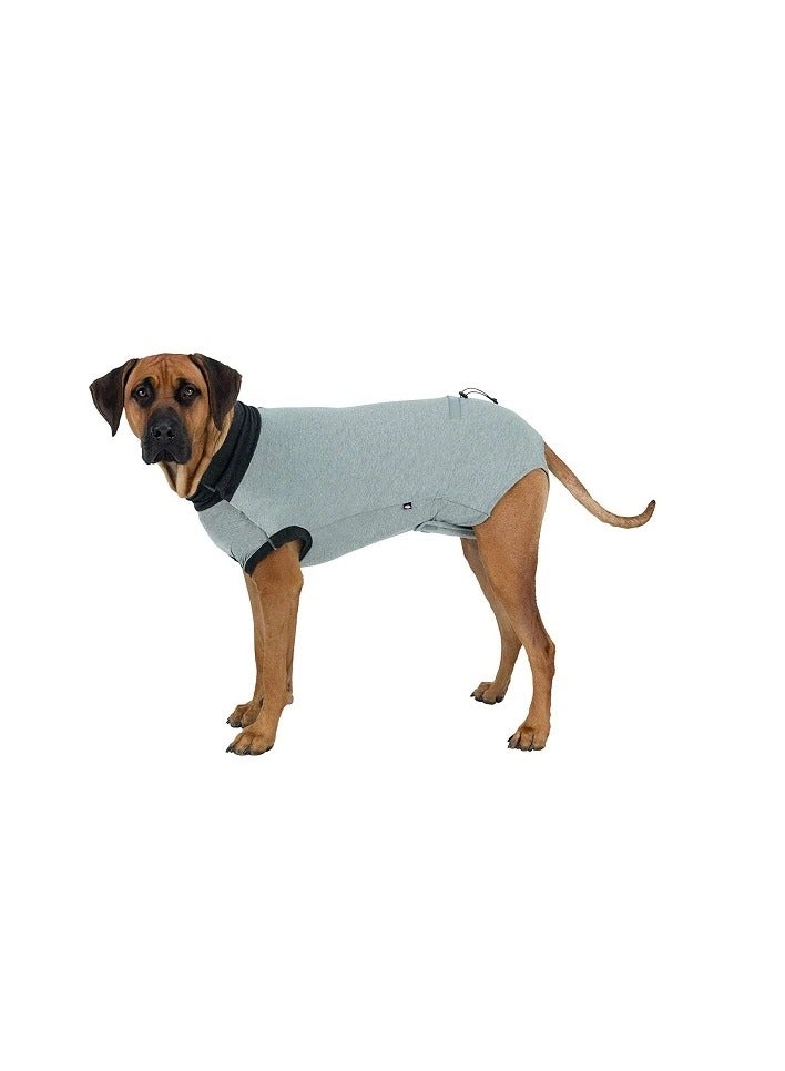 Trixie Protective Body Dog Wound Grey Suit - Image 1