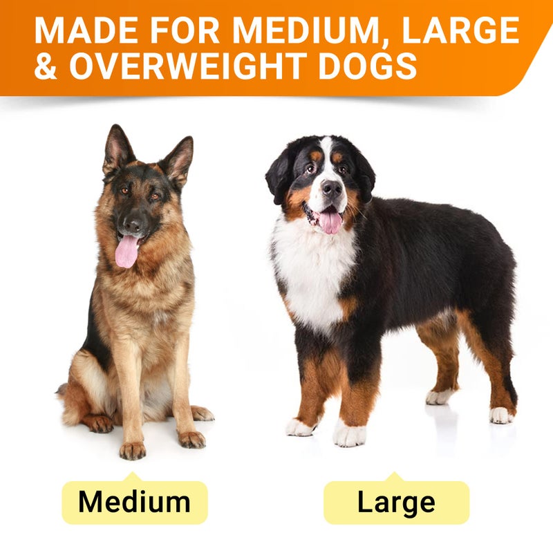 StrellaLab Senior Advanced Glucosamine Chondroitin Joint Supplement for Dogs - Hip & Joint Pain Relief Pills - Large & Small Breed - Hip Joint Chews Canine Joint Health - Chews Older Dogs - Bacon Flavor - 360Ct - Image 2