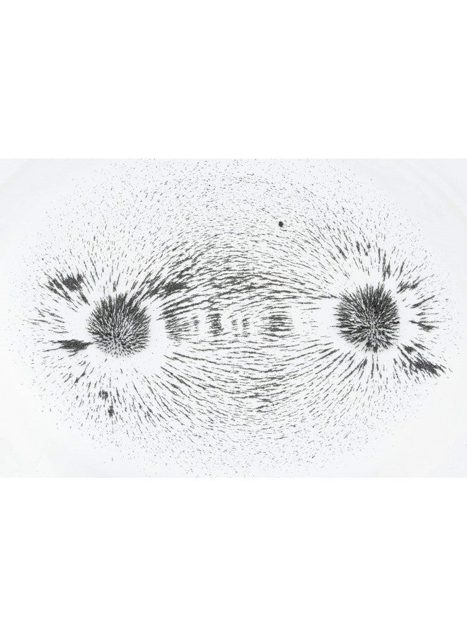 American Heritage Industries Bulk Iron Filings- 1 LB Iron Filings for Science Experiments, by American Heritage Industries  - Image 4