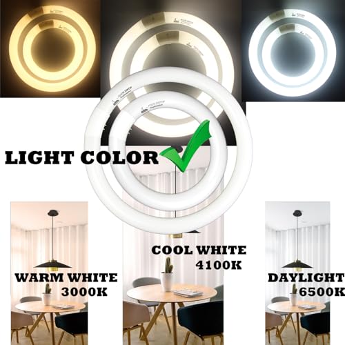 CHKADAWA FC8T9/CW 22W and FC12T9/CW 32W Cool White Round Fluorescent Light Bulb Set, 8 inch T9 22 Watts & 12 inch 32 Watts Circular Bulbs Pack, Circline Kitchen and Bath Light Bulbs, CRI 80, 4100K, G10q Prong - Image 2
