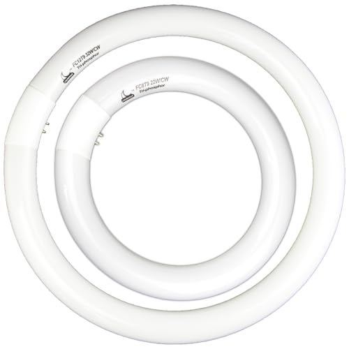 CHKADAWA FC8T9/CW 22W and FC12T9/CW 32W Cool White Round Fluorescent Light Bulb Set, 8 inch T9 22 Watts & 12 inch 32 Watts Circular Bulbs Pack, Circline Kitchen and Bath Light Bulbs, CRI 80, 4100K, G10q Prong - Image 1