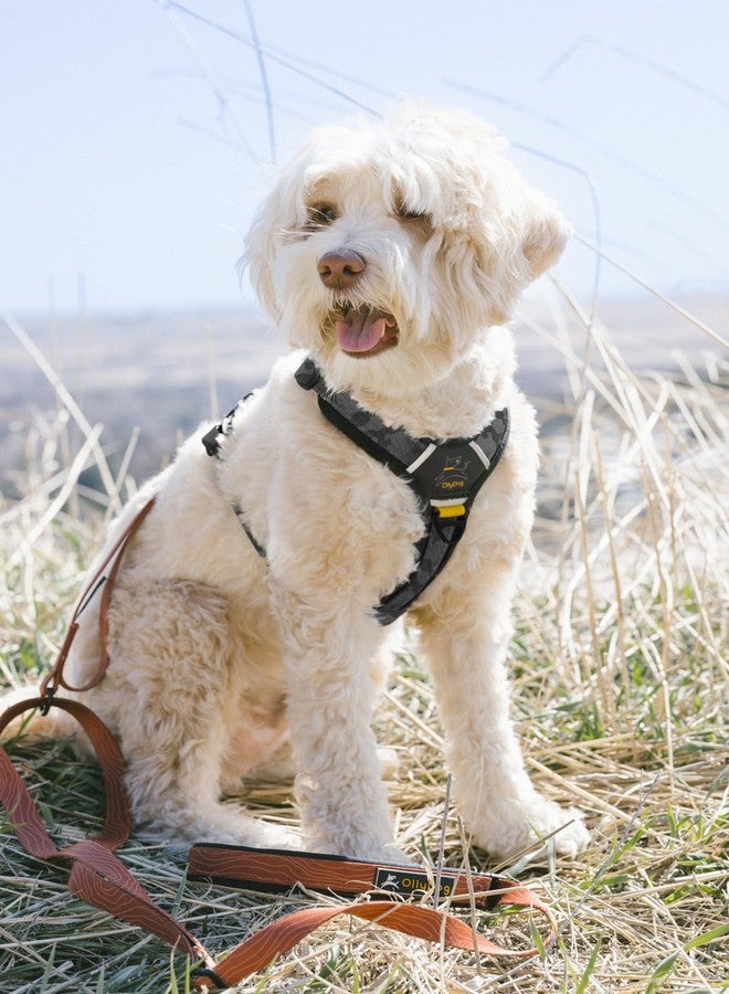 OllyDog حزام OllyDog Alpine Reflective Comfort، حزام للكلاب بدون شد مع حواف عاكسة، حزام بوليستر ناعم مطبوع بتقنية التسامي، مثالي للاستخدام اليومي والمغامرات (كبير، بنمط التمويه Dream Camo) - Image 2