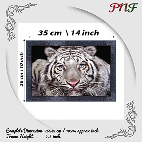 pnf Poster And Frames Tiger Wall Painting With Acrylic Sheet | For Living Room, Bedroom | Home Decoration Item | Best Gifting Option (10 * 14inch,Multicolour,Synthetic) 7688 - Image 2