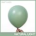 PartyWoo Dusty Green Balloons 100 pcs Different Sizes of 18 12 10 5 Inch Matte Sage Olive Boho Green Eucalyptus Latex Balloon Arch Kit Garland for Wedding Baby Shower Party Decorations GreenF03 - Image 4