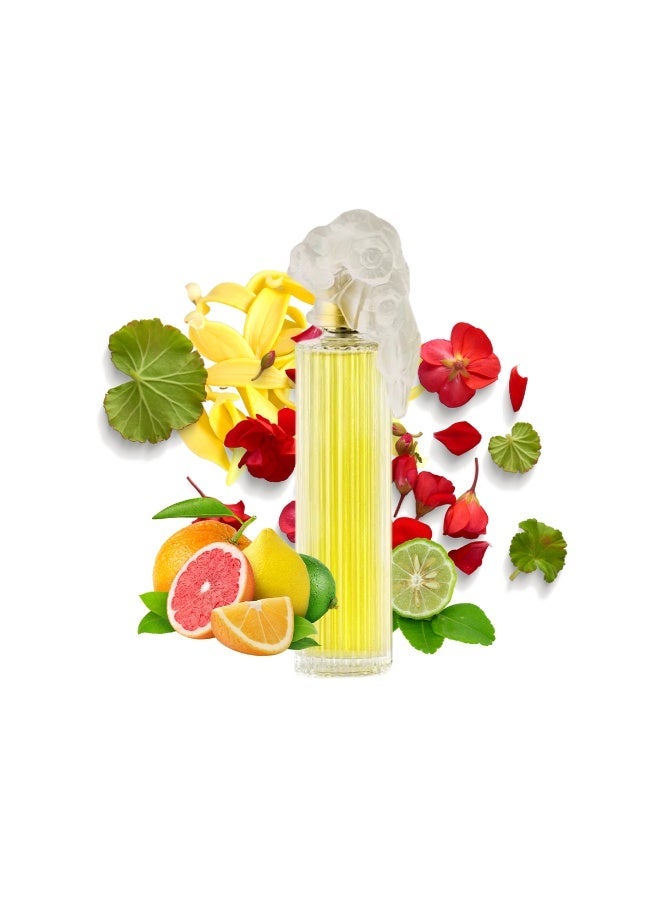 جيه كازانوفا عطر بلايسير أو دي بارفان للنساء 100 مل من جيه كازانوفا - Image 3