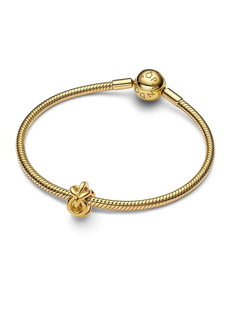 باندورا Infinity Knot Charm