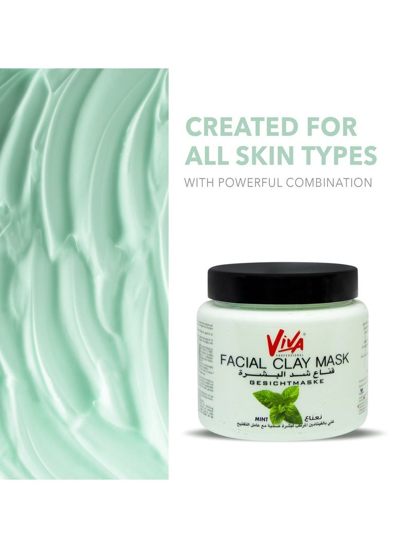 فيفا قناع طين الوجه بالنعناع من فيفا (لجميع أنواع البشرة) 500 مل - Image 3