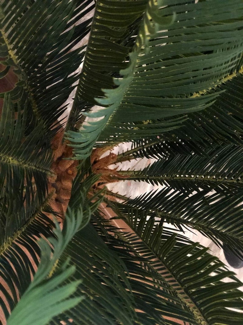 AMERIQUE Gorgeous 3 Feet Cycas Revoluta Sago Palm Tree Artificial Plant with Nursery Pot Feel Real Technology 28 Long  Giant Leaves Green - Image 2