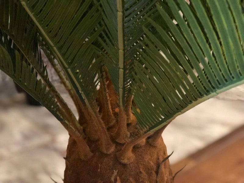 AMERIQUE Gorgeous 3 Feet Cycas Revoluta Sago Palm Tree Artificial Plant with Nursery Pot Feel Real Technology 28 Long  Giant Leaves Green - Image 4