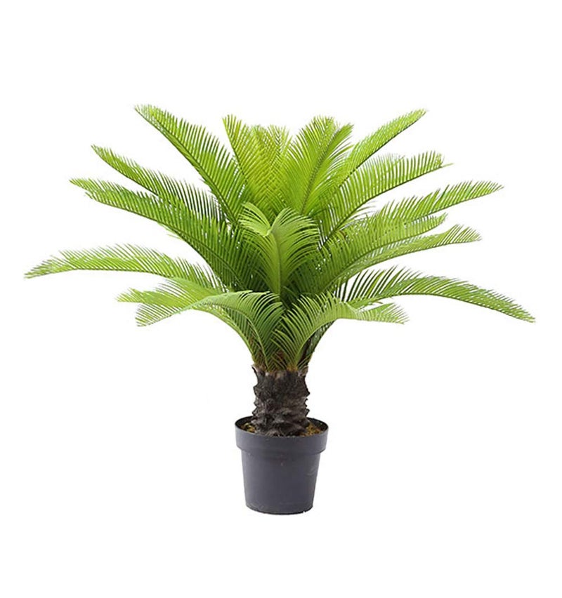AMERIQUE Gorgeous 3 Feet Cycas Revoluta Sago Palm Tree Artificial Plant with Nursery Pot Feel Real Technology 28 Long  Giant Leaves Green - Image 1