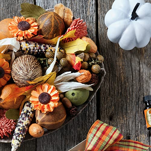 Aromatique Pumpkin Spice Potpourri Decorative Fragrance Standard Bag 8 Ounce - Image 5