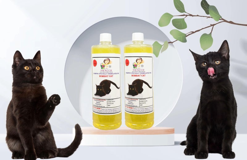 SWACCH Shampoo Specially FORMULATED for Bombay CAT (1 Litre) (Pack of 2) Lemon - Image 1