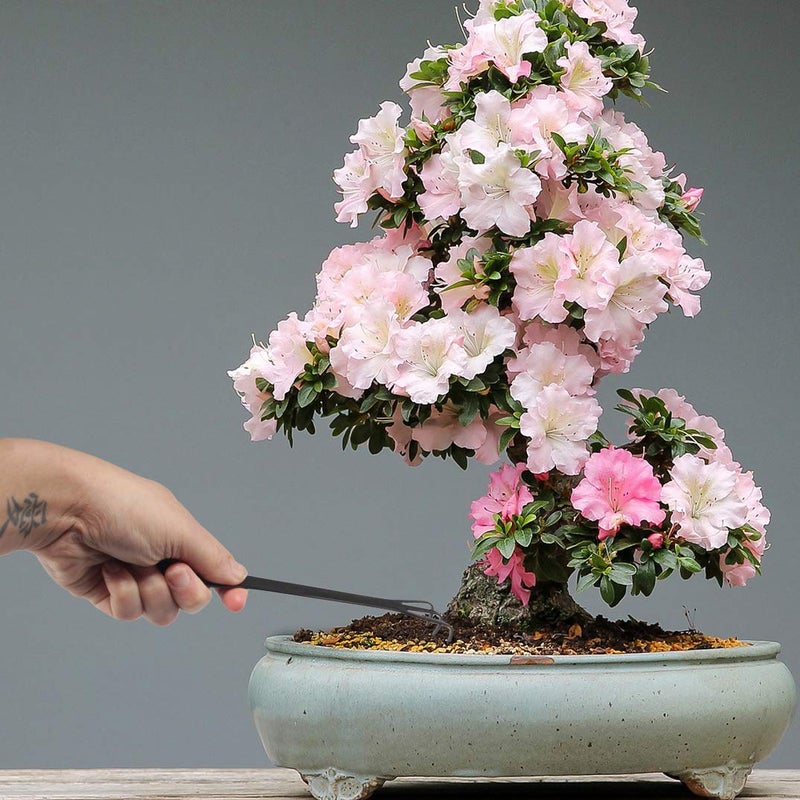 BambooMN Bonsai 2pc Set - 9" Root Pick and 9" Root Rake - 1 Set - Image 5