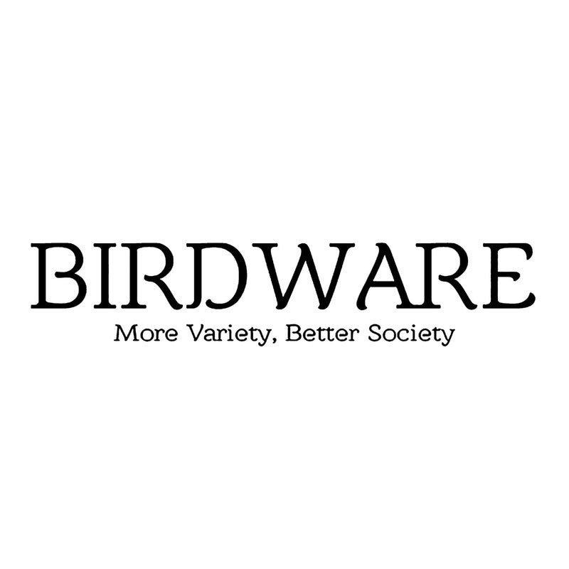 BIRDWARE Medium-Size Multi Color Imported Acrylic Material Butterfly Hair Clips For Women | Hair Clutchers - Image 5