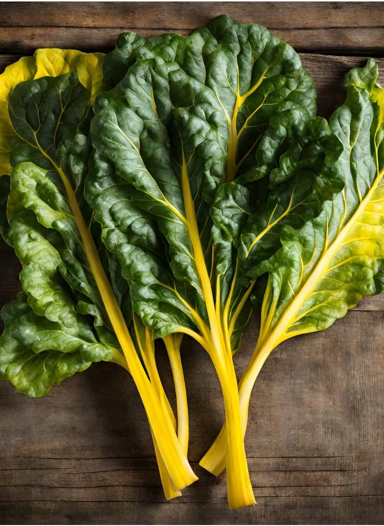 GROW - Bright Yellow Decorticated swiss chard - Image 1
