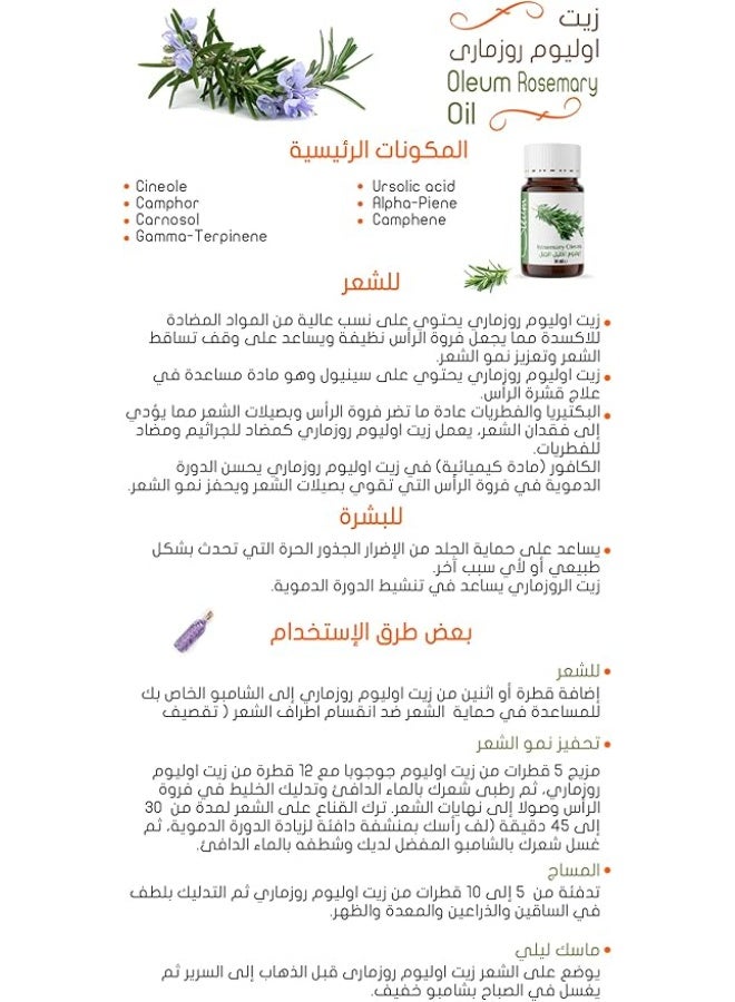 أوليوم زيت إكليل الجبل (روزماري) أوليوم - 30 مل - نقي وطبيعي 100% - المحفز الأقوى لنمو الشعر وإطالته ومنع التساقط. - Image 4