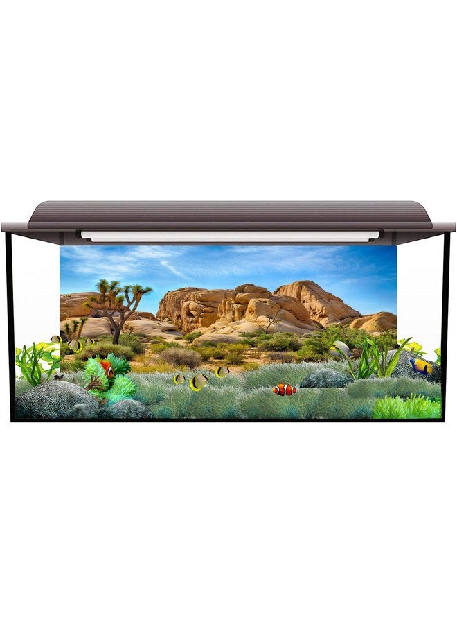 CSFOTO Polyester 48X18 Inches Joshua Tree National Park Backdrop Arid Barren Cactus Sandstone Rock Climate Mountain and Desert Scenery Backdrop Desert Terrarium Background - Image 1