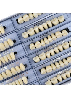 HaLunhi 84 Pcs False Teeth Dental Complete Acrylic Resin Denture Teeth, 3 Sets Whole Teeth Synthetic Polymer Denture Tooth, 23 Shade A2 Upper + Lower Dental Materials for Replacement  - Image 3