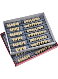 HaLunhi 84 Pcs False Teeth Dental Complete Acrylic Resin Denture Teeth, 3 Sets Whole Teeth Synthetic Polymer Denture Tooth, 23 Shade A2 Upper + Lower Dental Materials for Replacement  - Image 4