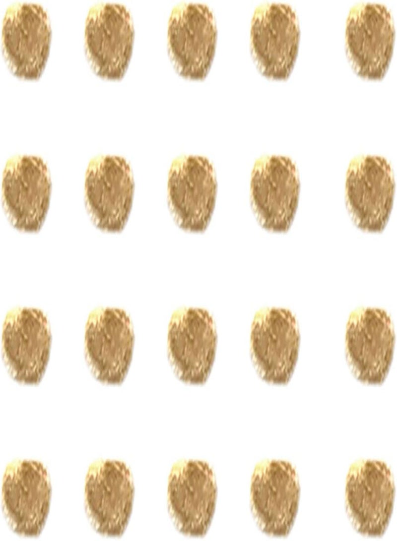 GGOOT Vegetable Seed Varieties - 20Pcs/Bag Tomato Seeds Viable Prolific Perennial High Yield Vegetable Plant Seeds for Farm Kids Beginners Gardeners Gift -1# - Image 3