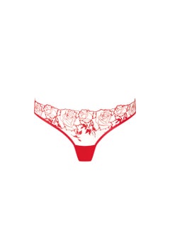 BLUEBELLA Mesh Detail High Leg Brief  - Image 1