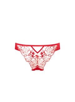 BLUEBELLA Mesh Detail High Leg Brief  - Image 2