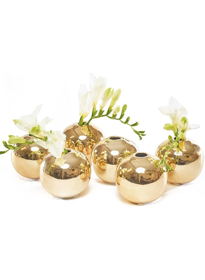The Bros مجموعة من 6 مزهريات جوجو الصغيرة بقطر 3 بوصات، مزهرية زهور سيراميكية دائرية، مزهرية زهور حديثة زخرفية لتزيين المنزل، مركز طاولة غرفة المعيشة والفعاليات، مزهرية براعم لطيفة (ذهبي) - Image 1