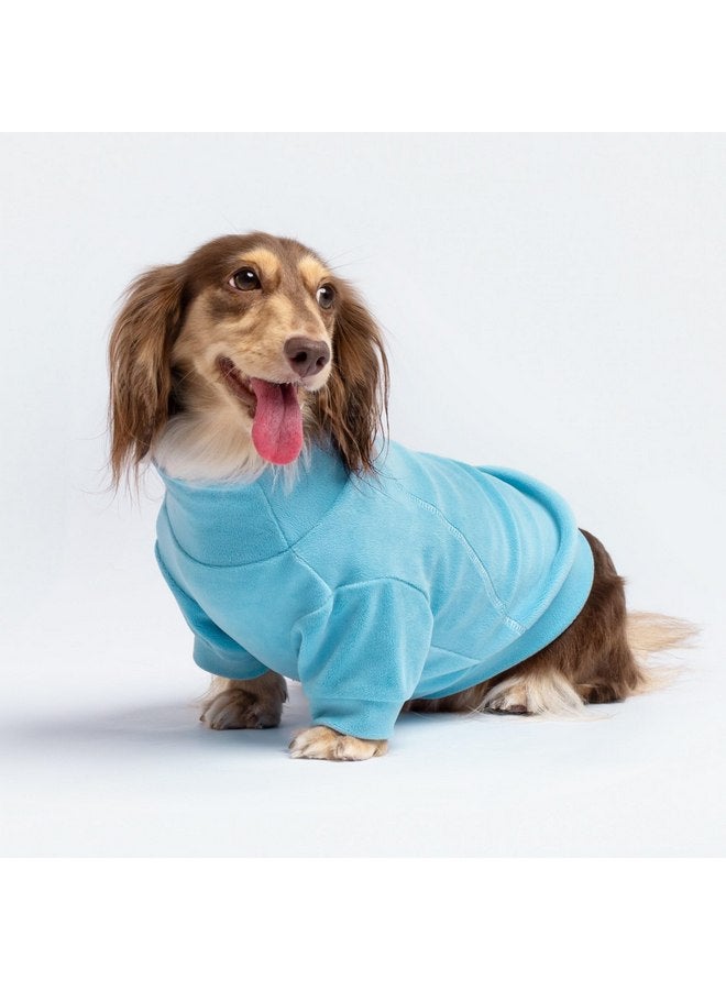 فيت وورم مجموعة من 3 قطع من سترة الصوف الكلاسيكية للكلاب من Fitwarm، سترة ذات رقبة مدورة للكلاب، ملابس شتوية للكلاب الصغيرة من الأولاد والبنات، سترة للحيوانات الأليفة، ملابس للقطط، أزرق، رمادي، أزرق داكن، مقاس XXL - Image 2